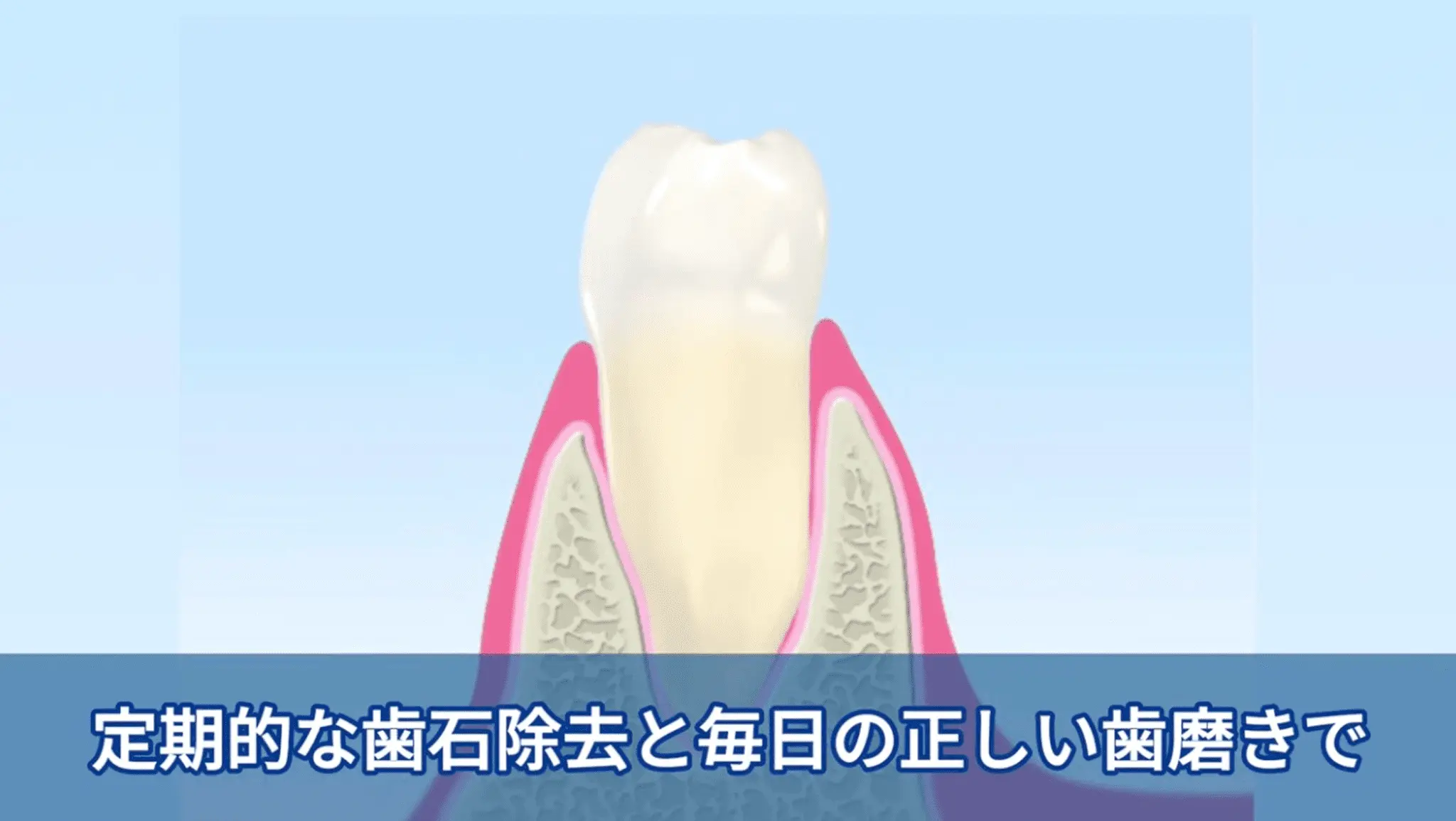 動画素材の整理と加工